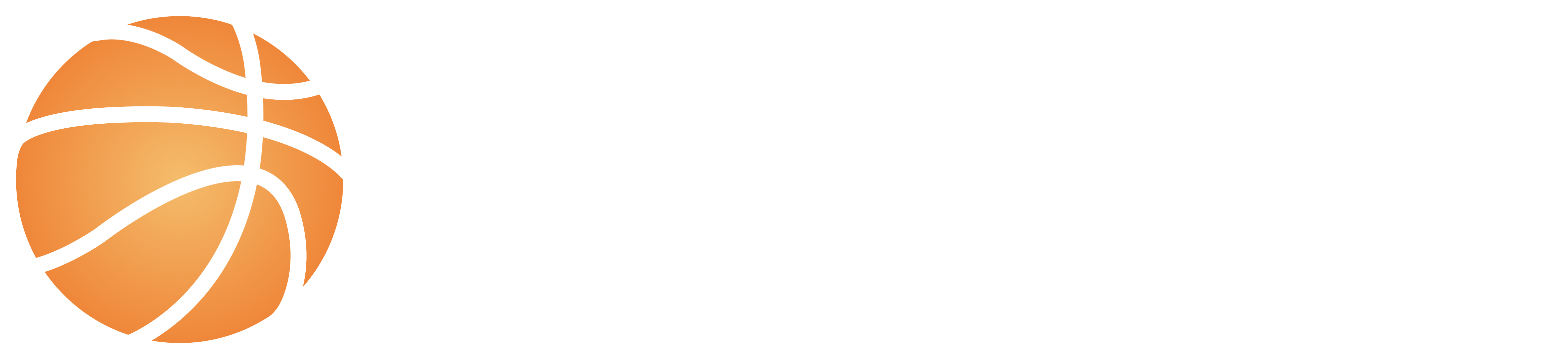 Logo Comité du Var Basket Blanc